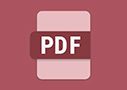 Workflow Central PDF icon